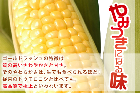 予約受付！＜朝採れ！国富町産ゴールドラッシュ4.5kg2Lサイズ13本＞2025年5月下旬～7月上旬迄に順次出荷【 とうもろこし スイートコーン 先行予約 野菜 穀物 甘い トウモロコシ 数量限定 】