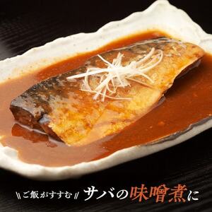 国産 天然 塩鯖 フィレ 骨取り 三陸の恵み 冷凍 500g 岩手県宮古市【配送不可地域：離島】【1652981】