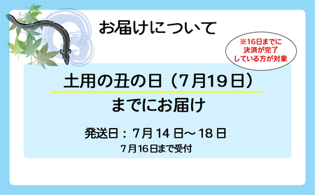 【土用の丑の日までにお届け(7月14日～18日発送)】 国産うなぎ3尾 計300g以上 数量限定 先行予約 さかい河岸水産 ※サイズ無選別 蒲焼き 鰻 ウナギ K1804