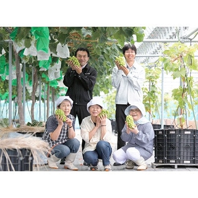 【2026年　秋発送分】～シャインマスカット～　約600g　Domaine MARUTA【配送不可地域：離島】