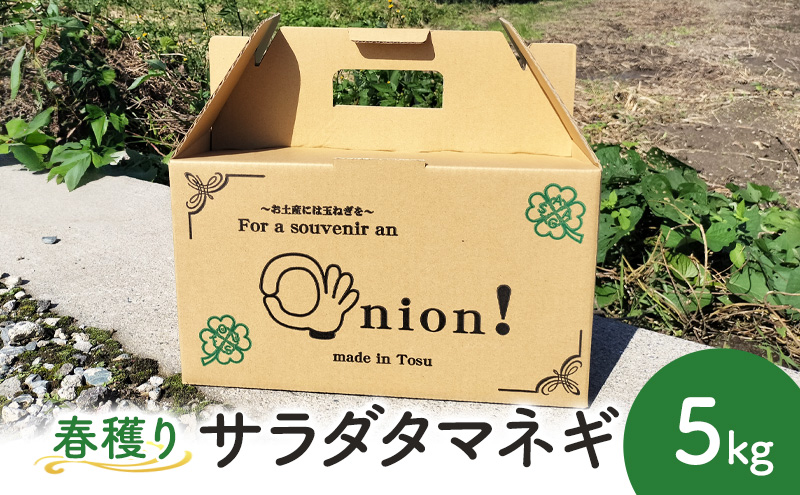 玉ねぎ 春穫り サラダタマネギ 5kg 野菜 タマネギ 発送時期