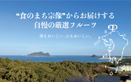 何が届くかお楽しみ！むなかた旬のフルーツ福袋定期便【年4回】【JAほたるの里】_HB0165