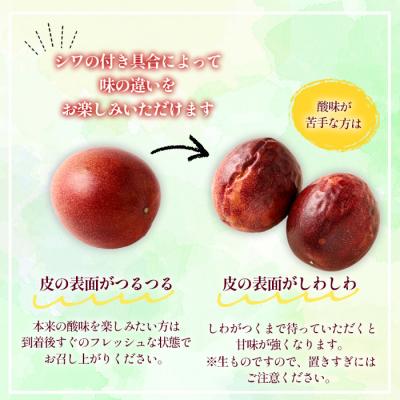 ふるさと納税 天城町 【2026年発送】徳之島 天城町 吉川果樹園 パッションフルーツ 家庭用 1kg トロピカルフルーツ |  | 01