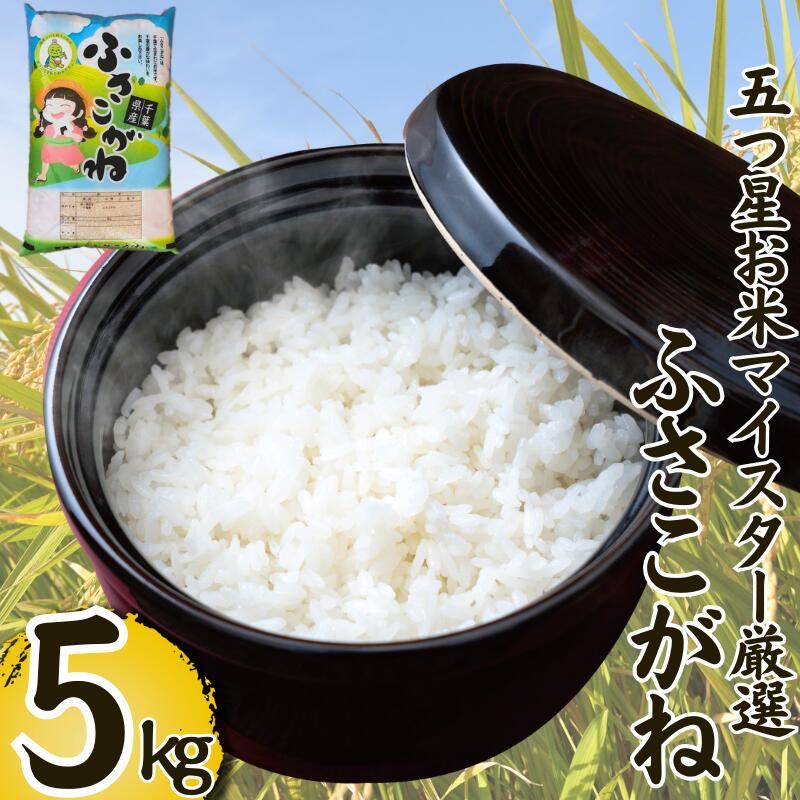 【ふるさと納税】 新米 令和7年産 ふさこがね 5kg 米 白米 お米 おこめ ご飯 ごはん ふさこがね 国産 千葉県 銚子市 根本商店 お弁当 おにぎり 朝食 昼食 夕食 お取り寄せ グルメ 食品 災害 防災 ギフト 贈り物 贈答 プレゼント 送料無料 宅配 和食 保存