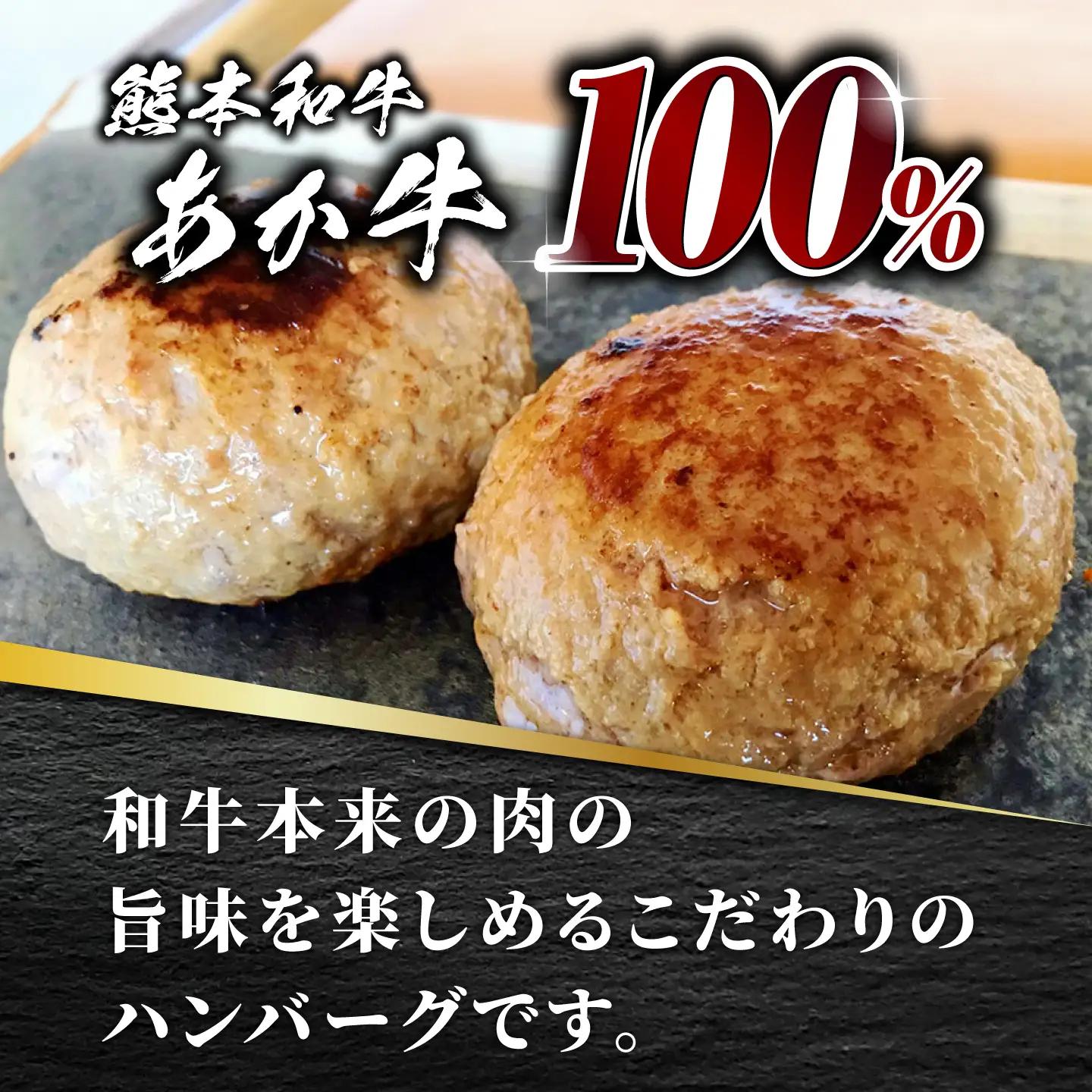 あか牛 100% ハンバーグ 120g × 8個【有限会社 三協畜産】 ハンバーグ 赤牛 セット 牛肉 あかうし 熊本県産 [ZEB099-FW]