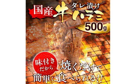 国産 特製たれ漬 牛ハラミ サガリ 500g JX003-2