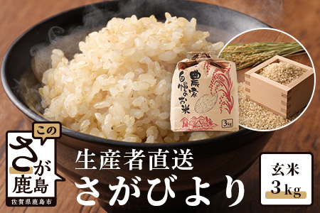A-133 【生産者直送】佐賀県鹿島市産 さがびより　玄米３ｋｇ