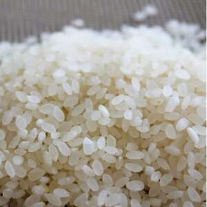 北川村の米〈維新の風〉[5kg×5袋]【1521004】