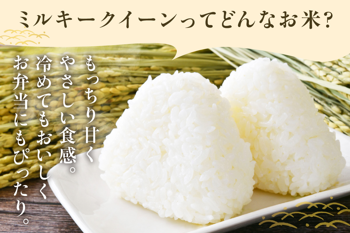 東浦町産　ミルキークイーン 5kg｜米  新米 おこめ コメ 精米 ミルキークイーン ミルキークィーン 直送 鈴木農産 愛知県 東浦町