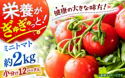 【11月上旬より順次発送】 ミニ トマト 計2kg（小分け12パック）＜ファゼンダ坂本＞ [CGP002] ミニトマト とまと 野菜 新鮮 赤 ミニとまと 長崎 西海 トマト とまと 小分け