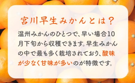 【先行予約】 早生 （宮川早生） みかん Lサイズ 約5kg  ー2025年11月より発送ー 長与町/山口農園 [EBI011] みかん ミカン 温州みかん 早生みかん 長崎みかん 長与みかん
