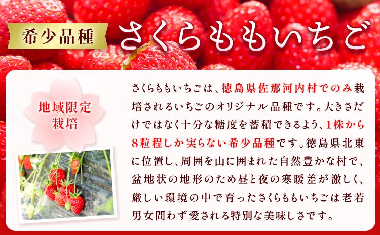 【CF】さくらももいちごのコンフィチュール　180g×2個(瓶) 《30日以内に出荷予定(土日祝除く)》 ---sanagouchi_tkw_1_360g---