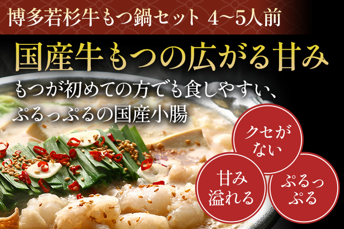 博多若杉 牛もつ鍋(醤油味) 4〜5人前 + 博多水炊き 4〜5人前 贅沢セット 鍋 牛もつ 小腸 ちゃんぽん コラーゲン スープ 国産 鳥もも肉 つくね 老舗 高級 食品 食べ物 グルメ 博多 九州