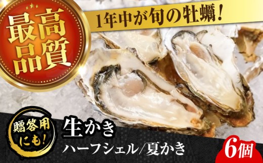 【生牡蠣】かなわのハーフシェル『夏かき』6個入り 江田島市／株式会社かなわ [XBP011]｜生牡蠣 牡蠣 生食 殻付き 殻付 殻 かき カキ 生牡蠣 広島牡蠣 オイスター ハーフシェル 夏かき 魚介類 魚介 貝類 海鮮 広島県産 国産 産地直送 贈答 ギフト 特産品