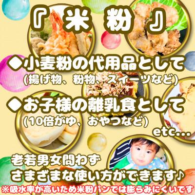 ふるさと納税 みやき町 『さがびより』米粉(500g×4袋)グルテンフリー♪_SS1021 |  | 02