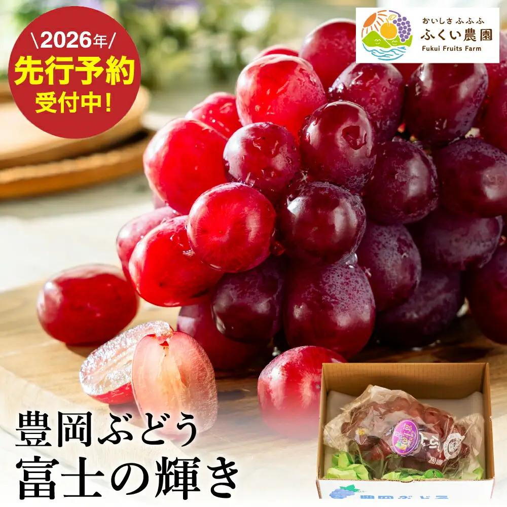 富士の輝き 豊岡ぶどう 600g【2026年先行予約】