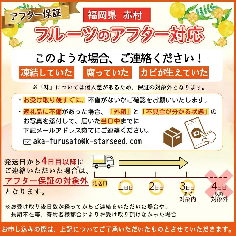 福岡県ブランド いちじく 「とよみつひめ」約1.2ｋｇ(約300ｇ×4パック)  | 無花果 イチジク 美容 ジャム 旬 果物 フルーツ 生 旬 朝ごはん 朝食 デザート お取り寄せ 送料無料 福岡県