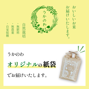 自然栽培米 あきまさり 2kg 白米 うかのわ 【UKW001_H】