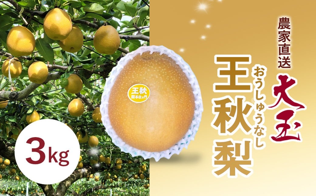 
            農家直送 大玉 王秋 梨 3kg  / ふるさと納税 フルーツ 果物 なし ナシ 梨 王秋 大玉 数量限定 千葉県 富里市 TMK005
          
