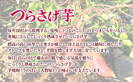 C3-3609　【秋季限定】薩摩の龍900ml・大野原900ml・八千代伝＜熟柿＞720ml 飲み比べセット（900ml×4本・720ml×2本，計6本）