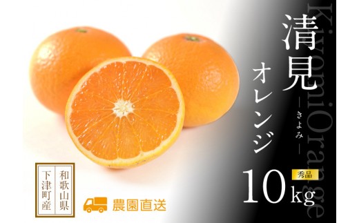 清見オレンジ 赤秀 10kg 和歌山県海南市まごころ産直みかんより直送 ｜きよみ 清美 清見 オレンジ 和歌山県 海南市産 完熟 サイズお任せ