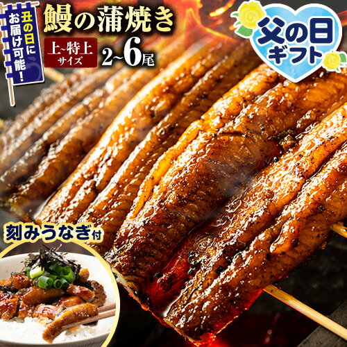 【ふるさと納税】 うなぎ 鰻の蒲焼 2尾～6尾 きざみ鰻付 たれ・山椒のセット《選べる出荷時期》| うなぎ 鰻 鰻の蒲焼き 高級 蒲焼 国産 選べる 土用の丑の日 ウナギ 送料無料 徳島県 上板町
