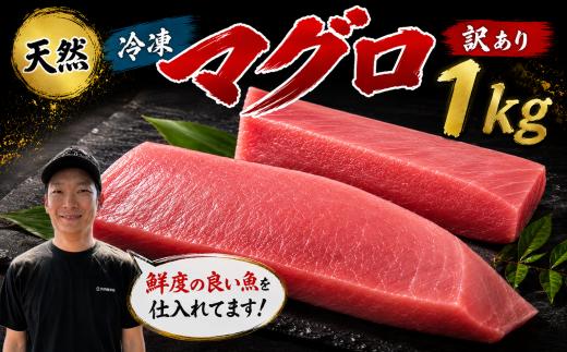 訳あり マグロ 天然 まぐろ 1kg マグロ刺身 マグロ たたき マグロ丼 鮪 マグロ漬け丼の具 冷凍 鮪 ネギトロ丼 マグロ まぐろ ブロック 赤身 天然 スライス刺し身 さしみ 魚介 海鮮 海鮮丼 おかず 惣菜 訳あり 冷凍 規格外 お取り寄せ 冷凍 高知県 安芸市 おいしい 簡単 時短 海の幸 生鮮
