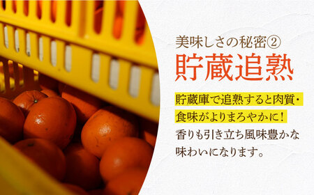 【先行予約】家庭用麗紅 約3kg[ECL001] れいこう 柑橘 果物 みかん