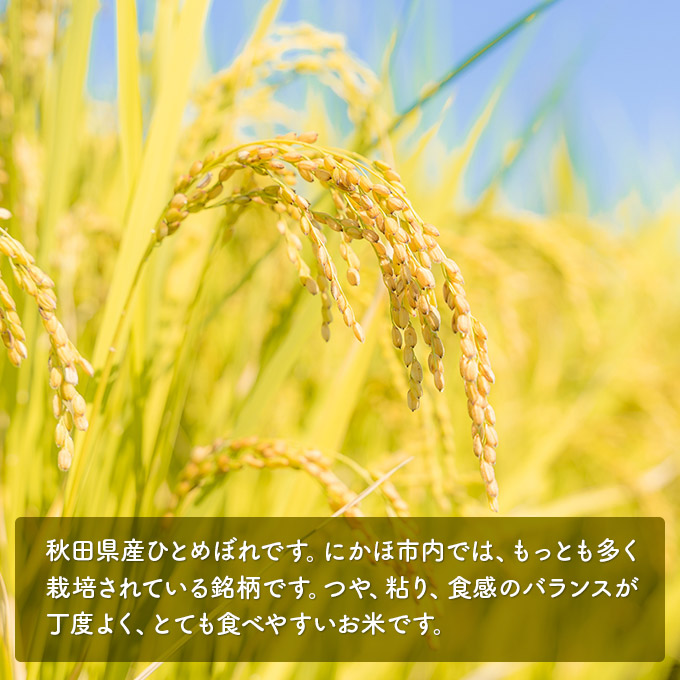 【令和5年産新米予約】【無洗米】<12ヵ月定期便>ひとめぼれ5kg×12回 計60kg