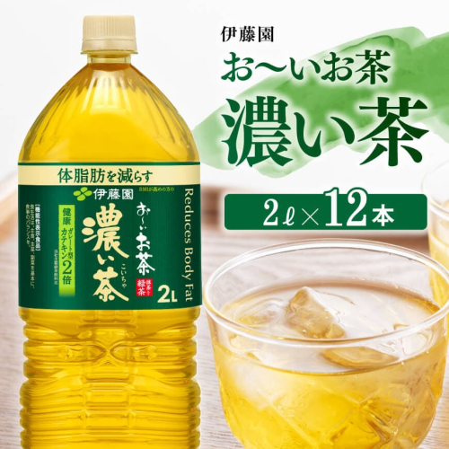 お～いお茶 濃い茶2L×6本×2ケース【 伊藤園 飲料類 ソフトドリンク お茶 ペットボトル 】 宮崎県川南町