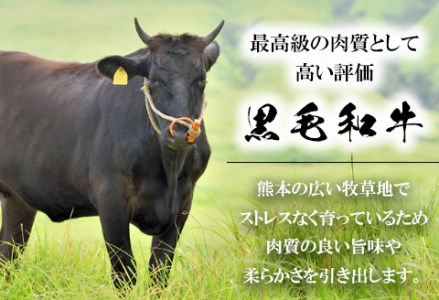 くまもと黒毛和牛 切り落とし 1kg《60日以内に出荷予定(土日祝除く)》 熊本県 長洲町 くまもと黒毛和牛 黒毛和牛 牛肉 肉 牛丼 切落し 株式会社 羽根(出荷元：株式会社酒湊)