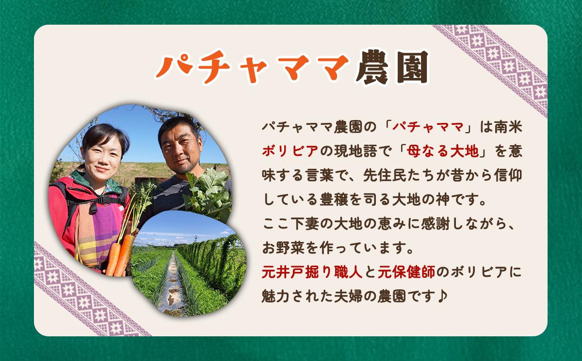 収穫体験チケット（2時間／4名）+お土産野菜付き（野菜持ち帰り）【 農業体験 収穫体験 食育 体験 野菜 農作業 家族 親子 畑 お土産 】