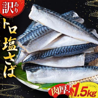 ふるさと納税 気仙沼市 訳あり 塩サバ フィレ 1.5kg [足利本店 20565942]