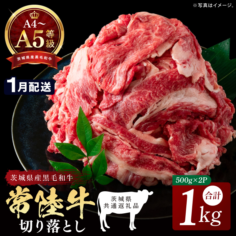 【2027年1月発送予定】最高級A4.A5ランク 常陸牛 切り落し 1kg（約500ｇ×2）【人気肉 お肉 牛肉 和牛 黒毛和牛 国産黒毛和牛 モモ 肩 切り落とし 国産牛 A5 A4 すき焼き 牛丼 ブランド牛】(CR106-1)