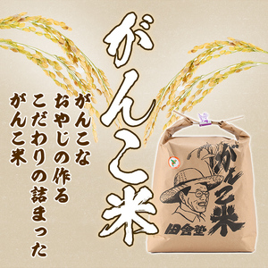 【F7069】＜令和7年産 先行予約！＞《定期便・全9回》田舎塾特別栽培米「がんこ米ゆめぴりか」(5kg×9回・計45kg) 【2025年10月中旬以降順次発送】 米 お米 白米 北海道産 北海道米 