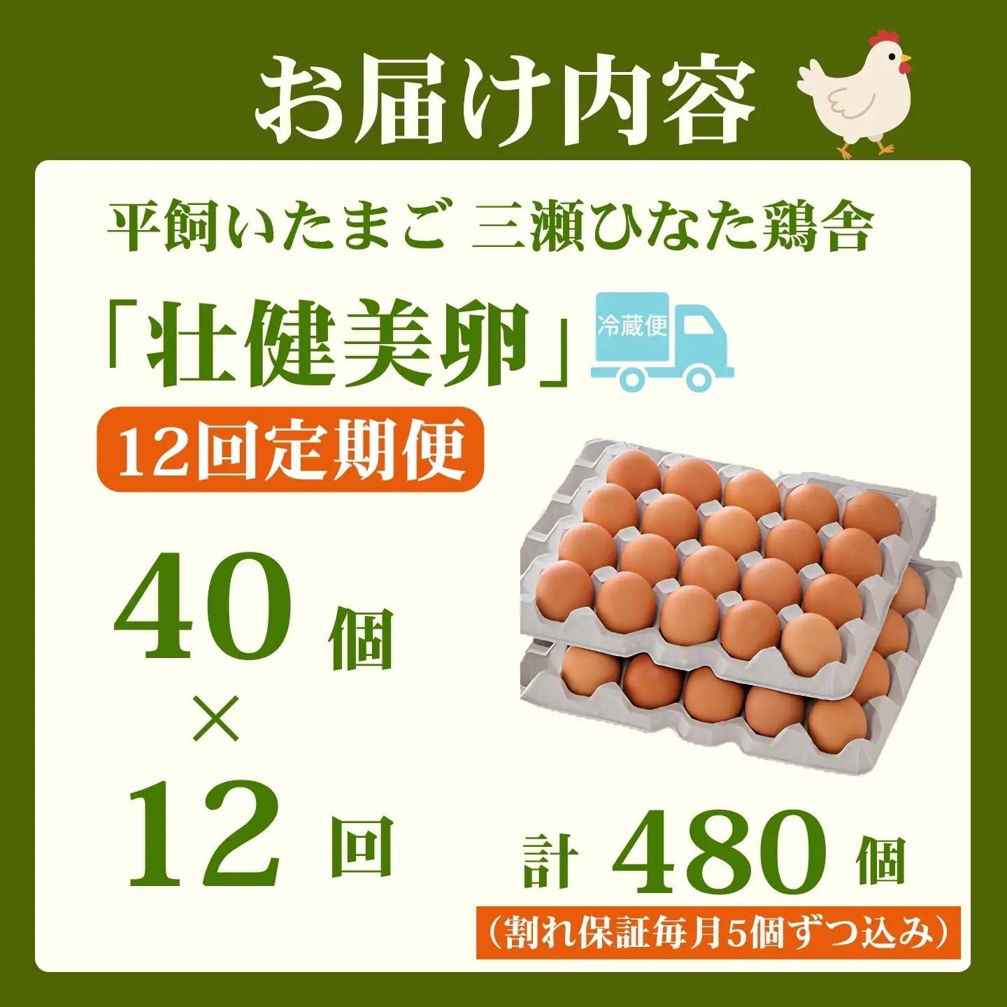 【定期便12回】平飼いたまご 三瀬ひなた鶏舎 「壮健美卵」35個＋割れ保証5個（計40個）：C150-052