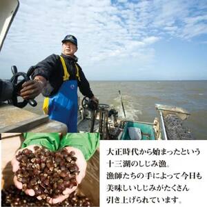 青森県 十三湖産 冷凍しじみ  （中粒・冷凍） 約1.8kg 【小野や】 F6N-031
