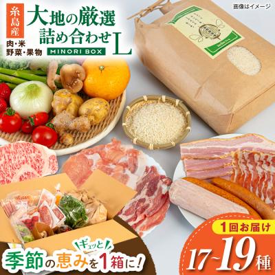 ふるさと納税 糸島市 糸島産 肉 米 野菜 果物 厳選詰め合わせ MINORI BOX L [AOP015]