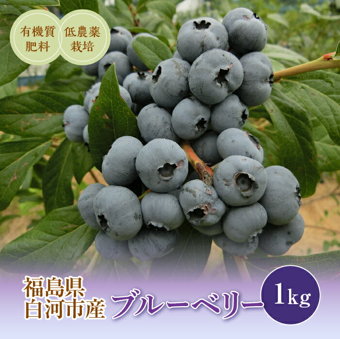 【ふるさと納税】《先行予約》白河産ブルーベリー 1kg F21R-050