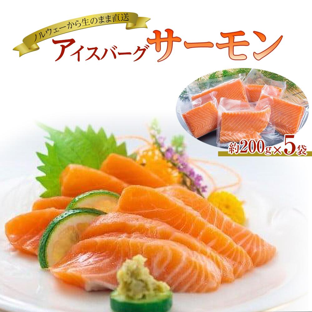 【ふるさと納税】サーモン 切り身 約1kg ( 約200g × 5袋 ) アイスバーグサーモン アトランティックサーモン 刺身 小分け 個包装 冷凍 さけ サケ 生食サーモン 鮭 魚 海鮮 手巻き寿司 海鮮丼 人気 おすすめ ノルウェー産