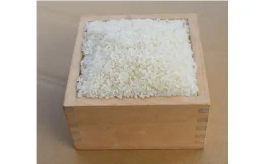 A124 【定期便】阿武川源流米きぬむすめ白米60㎏(5kg×12回)