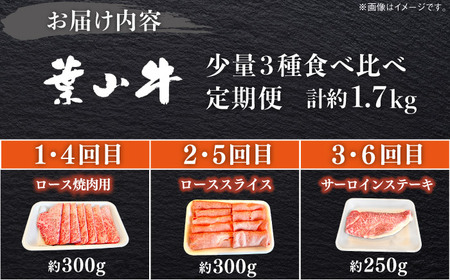 【全6回定期便】葉山牛 少量3種食べ比べセット 牛肉(ロース・ローススライス・サーロインステーキ)[ASBD025]
