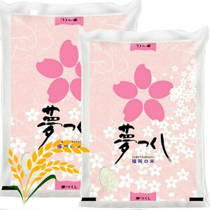 【先行予約】【令和7年産】夢つくし 白米 計10kg [BGAA086] 夢つくし 10キロ 夢つくし 夢つくし 夢つくし