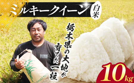 【先行予約】栃木県 下野市 ミルキークイーン 10kg 米