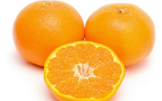 【厳選・濃厚】紀州有田産のはるみ 4kg(2L～3Lサイズおまかせ)※2026年1月下旬～2026年2月中旬頃より順次発送【tec820B】