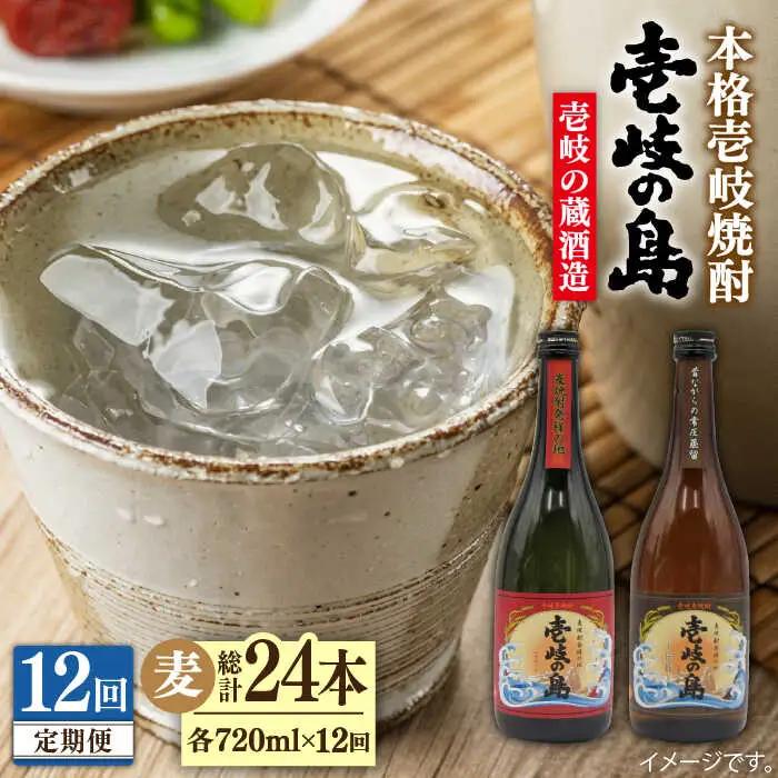 【全12回定期便】壱岐の島 伝匠 と 壱岐の島 25度 720ml 2本入りセット 《壱岐市》【天下御免】[JDB233]