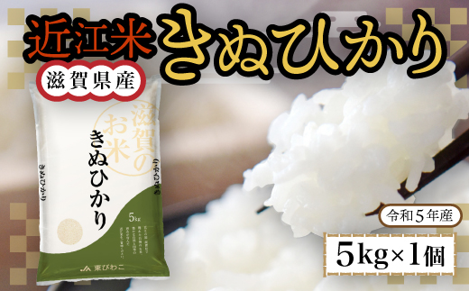 近江米　きぬひかり　白米5kg　令和6年産 BD01	