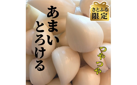 ＜テレビ紹介＞日本一の産地・青森十和田 王様にんにく「白玉王」むき 1.3kg【1692311】