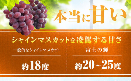 富士の輝 1房（約700g） 広川町 / 井上農園[AFCK001]