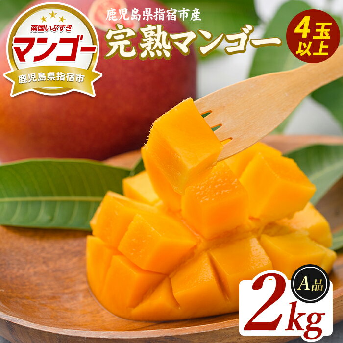 【ふるさと納税】＜先行予約受付中！2026年5月下旬以降順次発送＞鹿児島県指宿産 完熟マンゴー 約2kg 贈答用 完熟 フルーツ 果物 果実 デザート スイーツ 南国 化粧箱入【室屋植物園】